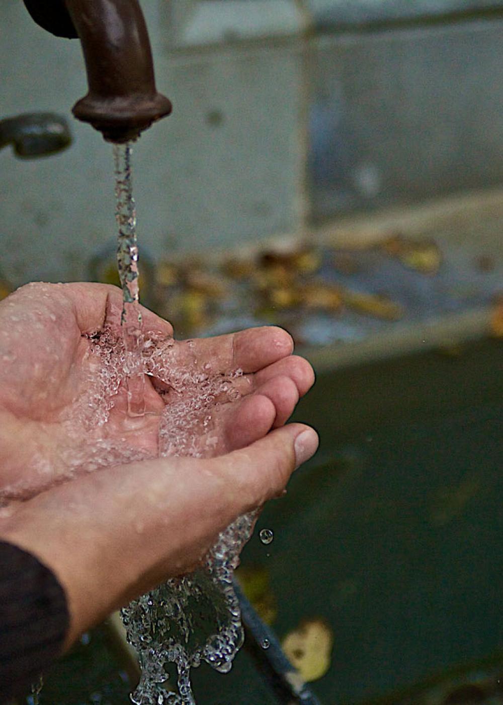 Lebendiges Wasser