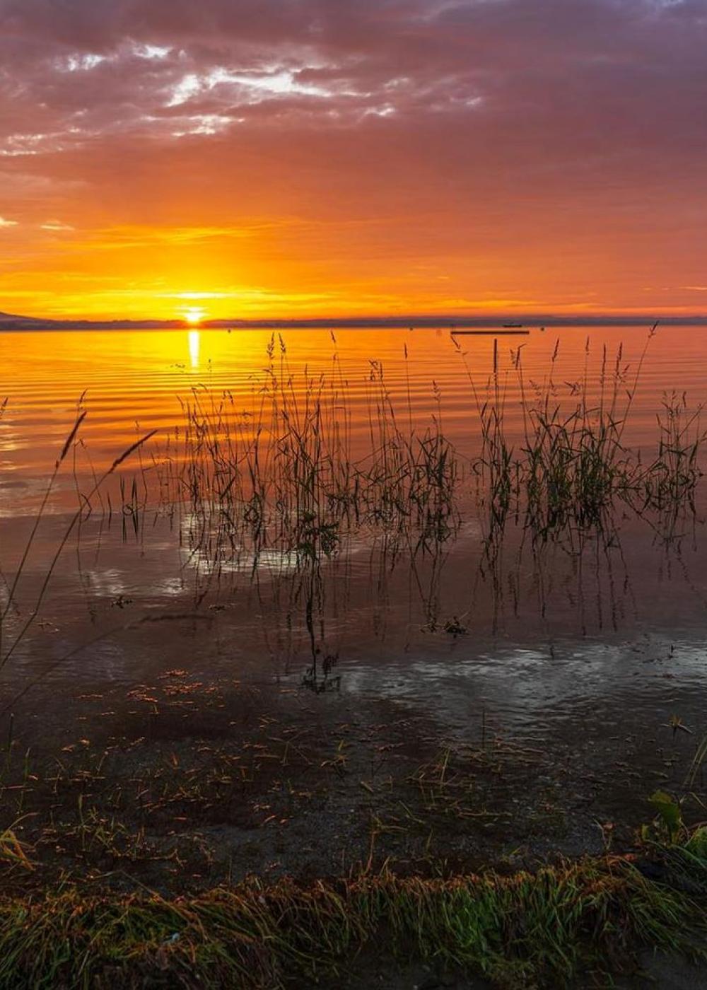 Sonnenaufgang am Bodensee